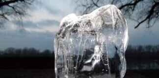 Glaceon Pokémon Evolution, Abilities, Moves, and How to Train It for Competitive Play Glaceon Pokémon Evolution, Abilities, Moves, and How to Train It for Competitive Play