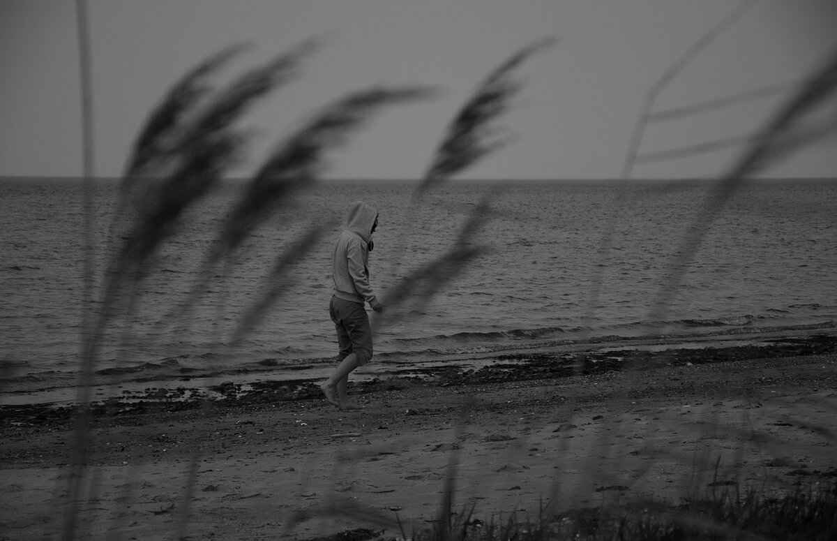 Gloom Pokémon Evolution, Abilities, Moves, and How to Train It for Competitive Play 2 Gloom's Unique Abilities