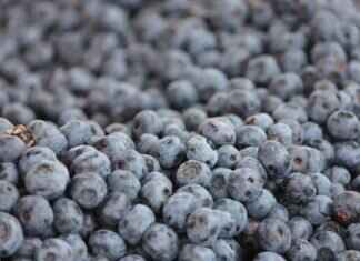 Goji Berries in Chinese Medicine & How to Use Them in Cooking Goji Berries in Chinese Medicine & How to Use Them in Cooking