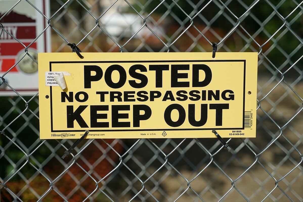 Defensive and Offensive Roles of Goldeen