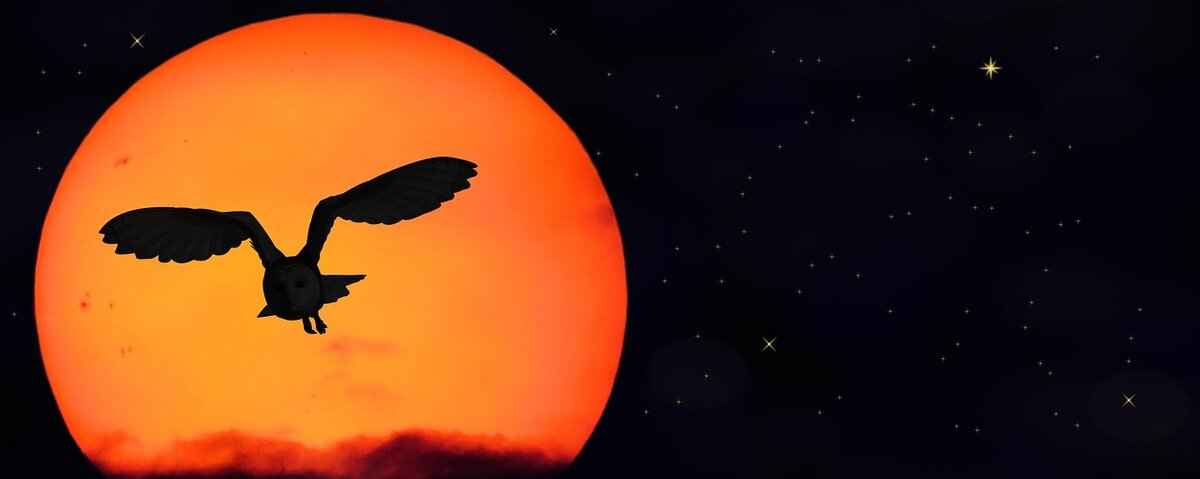 Content Strategy of GoodNever.com