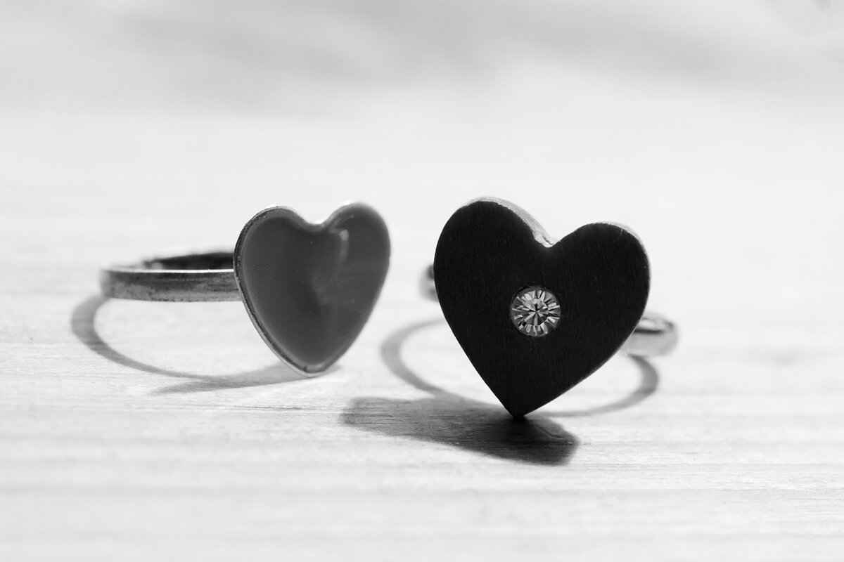 Community and User Interaction