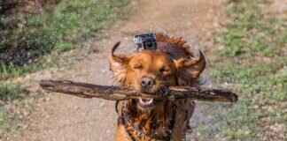 GoPro Hero 12 Black Hands-On Test: Real-World Performance Review GoPro Hero 12 Black Hands-On Test: Real-World Performance Review