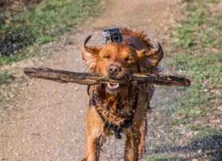 GoPro Hero 12 Black Hands-On Test: Real-World Performance Review GoPro Hero 12 Black Hands-On Test: Real-World Performance Review