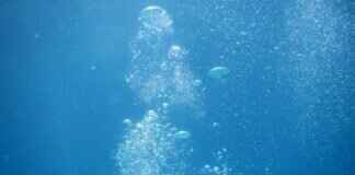 GoPro Hero 12 Dive Setup: Best Waterproof Housing & Underwater Accessories GoPro Hero 12 Dive Setup: Best Waterproof Housing & Underwater Accessories