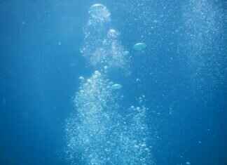 GoPro Hero 12 Dive Setup: Best Waterproof Housing & Underwater Accessories GoPro Hero 12 Dive Setup: Best Waterproof Housing & Underwater Accessories