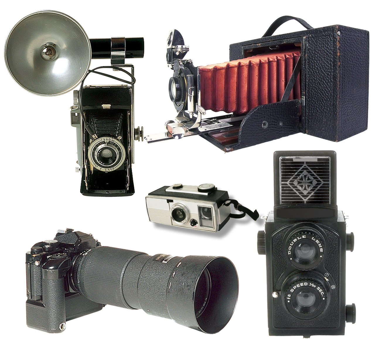 Which Camera Is Better for Specific Use Cases?