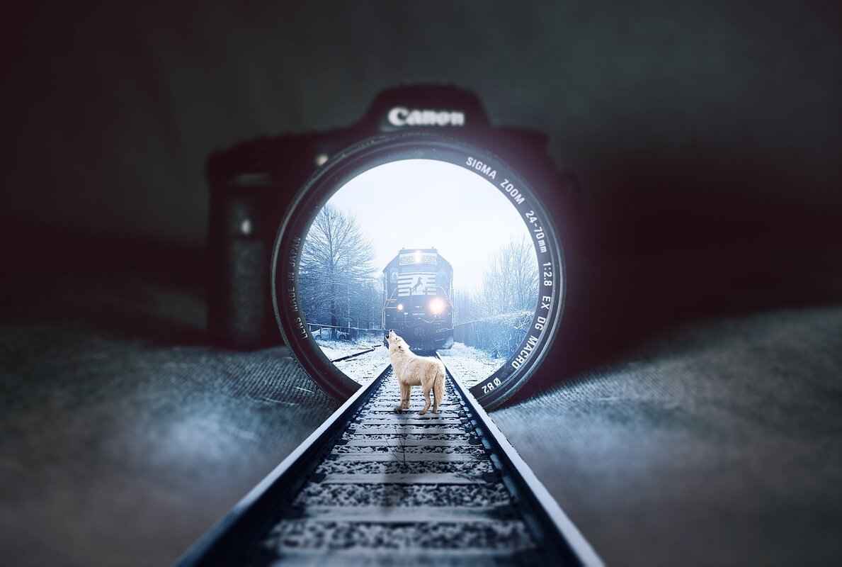 How User-Friendly Are GoPro and Akaso Cameras?