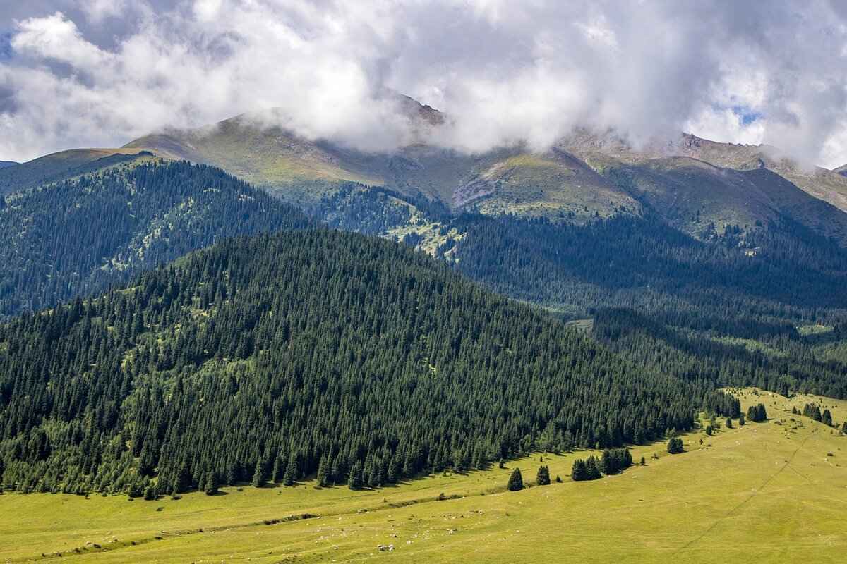 Green and Blue Wallpaper: Best Designs for a Fresh Look 1 Why Choose Green and Blue Wallpaper?