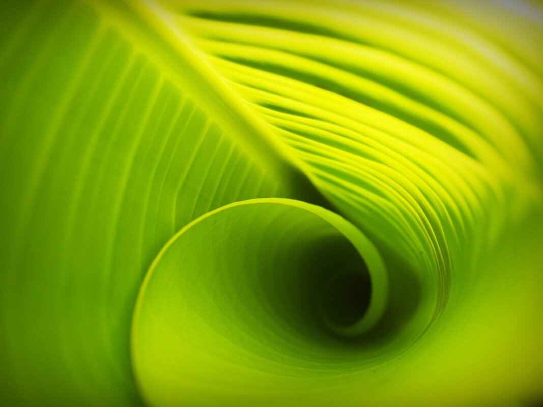 Green and Blue Wallpaper: Best Designs for a Fresh Look 8 Geometric Designs: Modern and Stylish Options