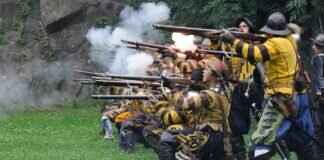 Grubbin Pokémon: Evolution, Best Moveset, and Battle Tactics Grubbin Pokémon: Evolution, Best Moveset, and Battle Tactics