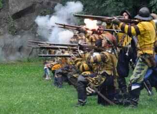 Grubbin Pokémon: Evolution, Best Moveset, and Battle Tactics Grubbin Pokémon: Evolution, Best Moveset, and Battle Tactics