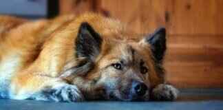 Guide to Asian Massage with Table Showers Near Me Guide to Asian Massage with Table Showers Near Me