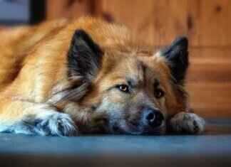 Guide to Asian Massage with Table Showers Near Me Guide to Asian Massage with Table Showers Near Me