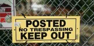 Gulpin Pokémon Moveset, Evolution Chart, and Best Battle Uses Gulpin Pokémon Moveset, Evolution Chart, and Best Battle Uses