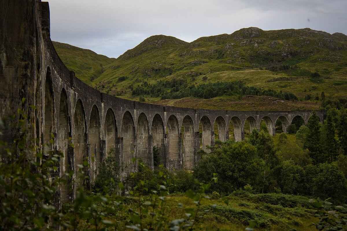 Harris Ear Piece: The Ultimate Guide to Choosing the Best One 4 Key Features to Consider