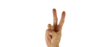 Harris Walz Yard Signs: Where to Get Political Signs for Your Lawn Harris Walz Yard Signs: Where to Get Political Signs for Your Lawn