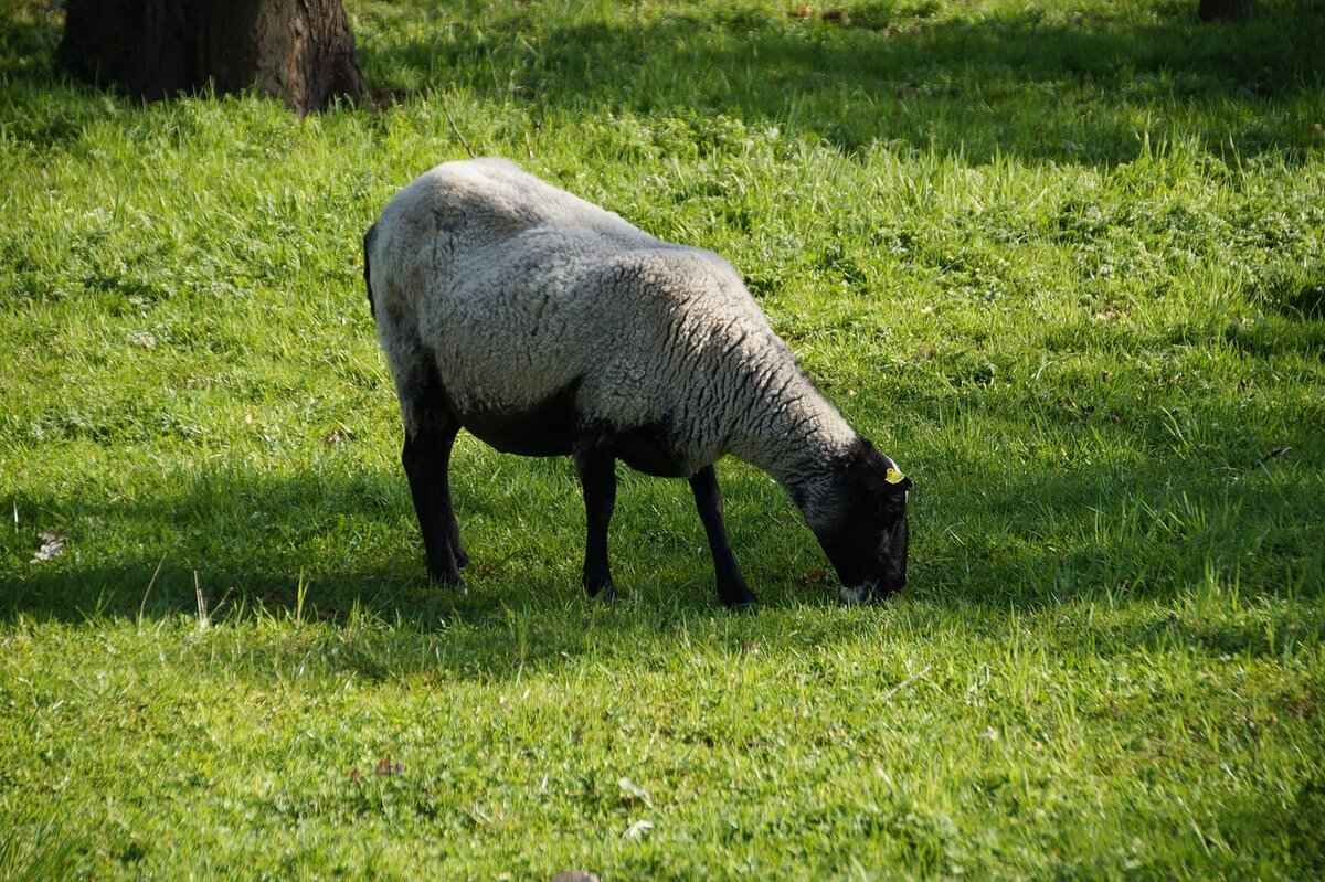 Comparing Prices: Finding the Best Deals