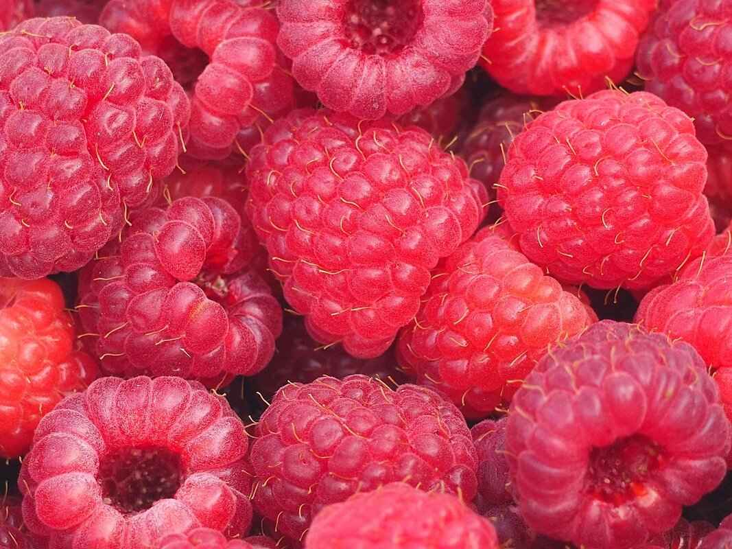 Harvest Festival Foods Across Asia: From Pongal to Chuseok 2 What Dishes are Featured During the Mid-Autumn Festival?