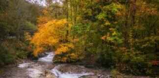 HDToday.cc: The Best Free Movie and TV Streaming Service HDToday.cc: The Best Free Movie and TV Streaming Service