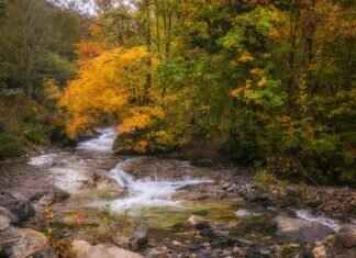 HDToday.cc: The Best Free Movie and TV Streaming Service HDToday.cc: The Best Free Movie and TV Streaming Service