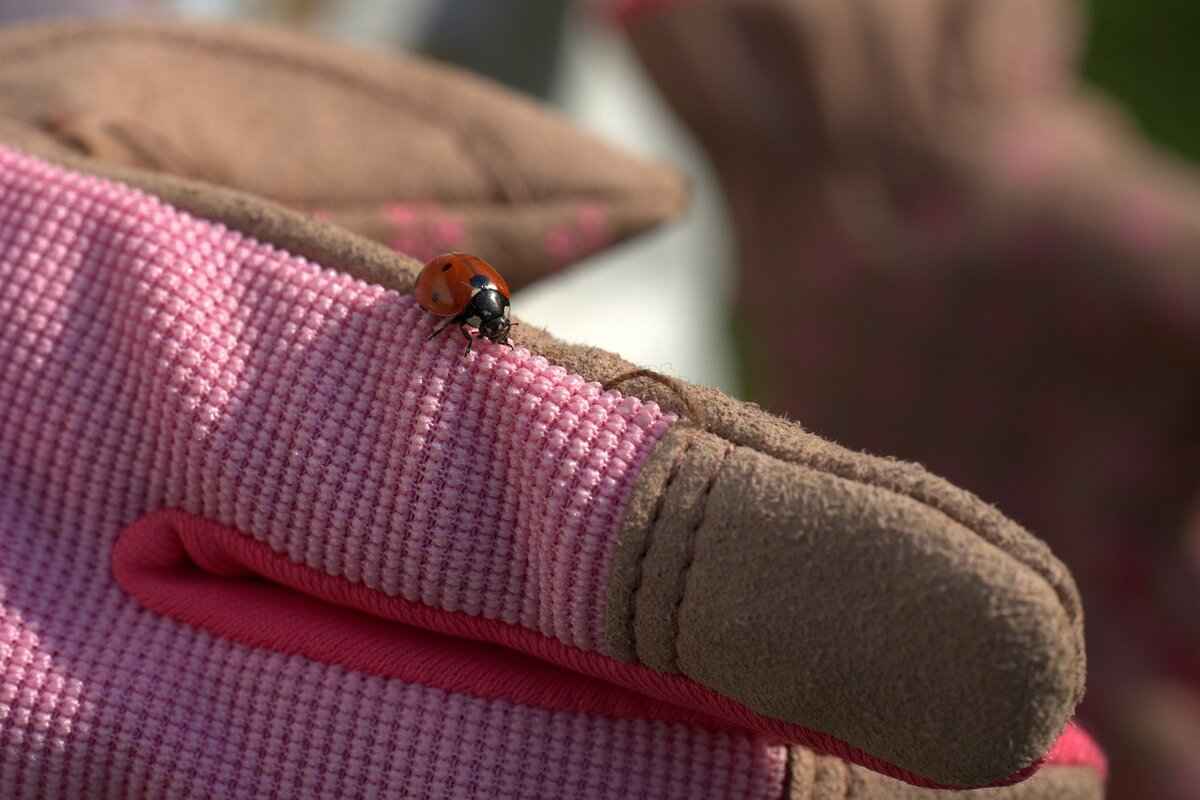Benefits of Using Heated Gloves