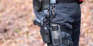 Hidden Easter Eggs & Secrets in Paw Patrol Episodes Hidden Easter Eggs & Secrets in Paw Patrol Episodes