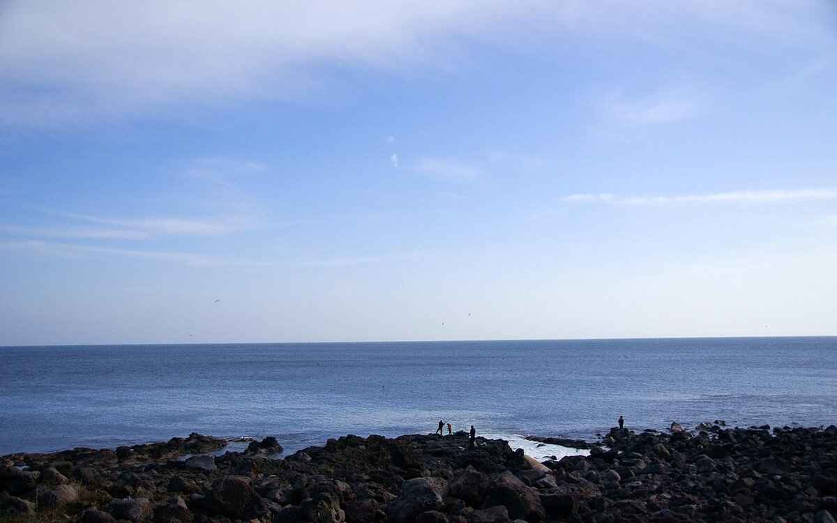 Optimal Items for Ho-Oh