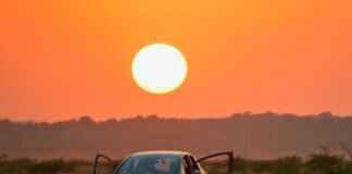 Honda Windshield Wipers: Top Picks for Your Honda Vehicle Honda Windshield Wipers: Top Picks for Your Honda Vehicle