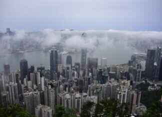 Hong Kong’s Best Street Food Stalls You Can’t Miss Hong Kong’s Best Street Food Stalls You Can’t Miss