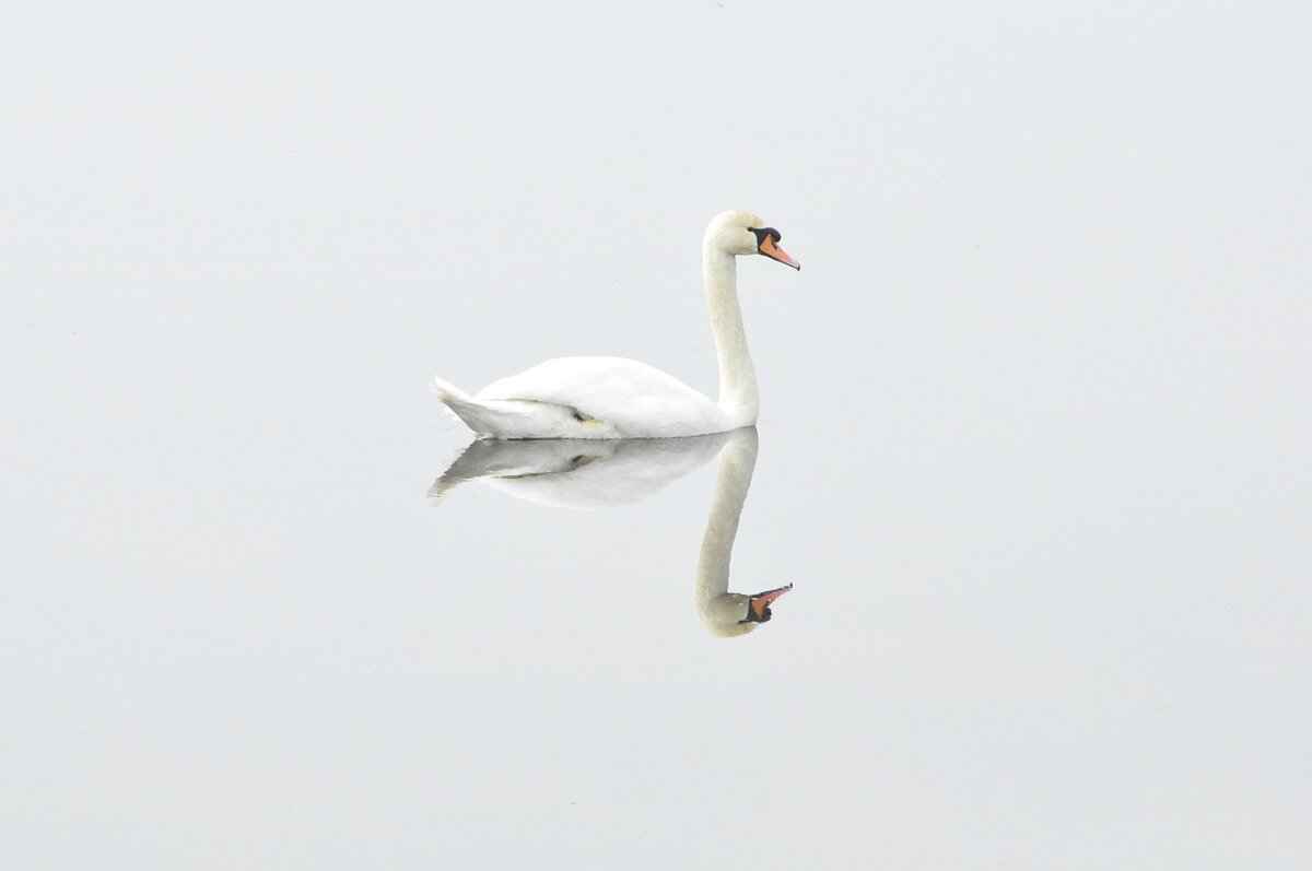 How AI-Powered Image Stabilization Is Transforming Action Cameras 7 What Challenges Do Manufacturers Face with AI Stabilization?