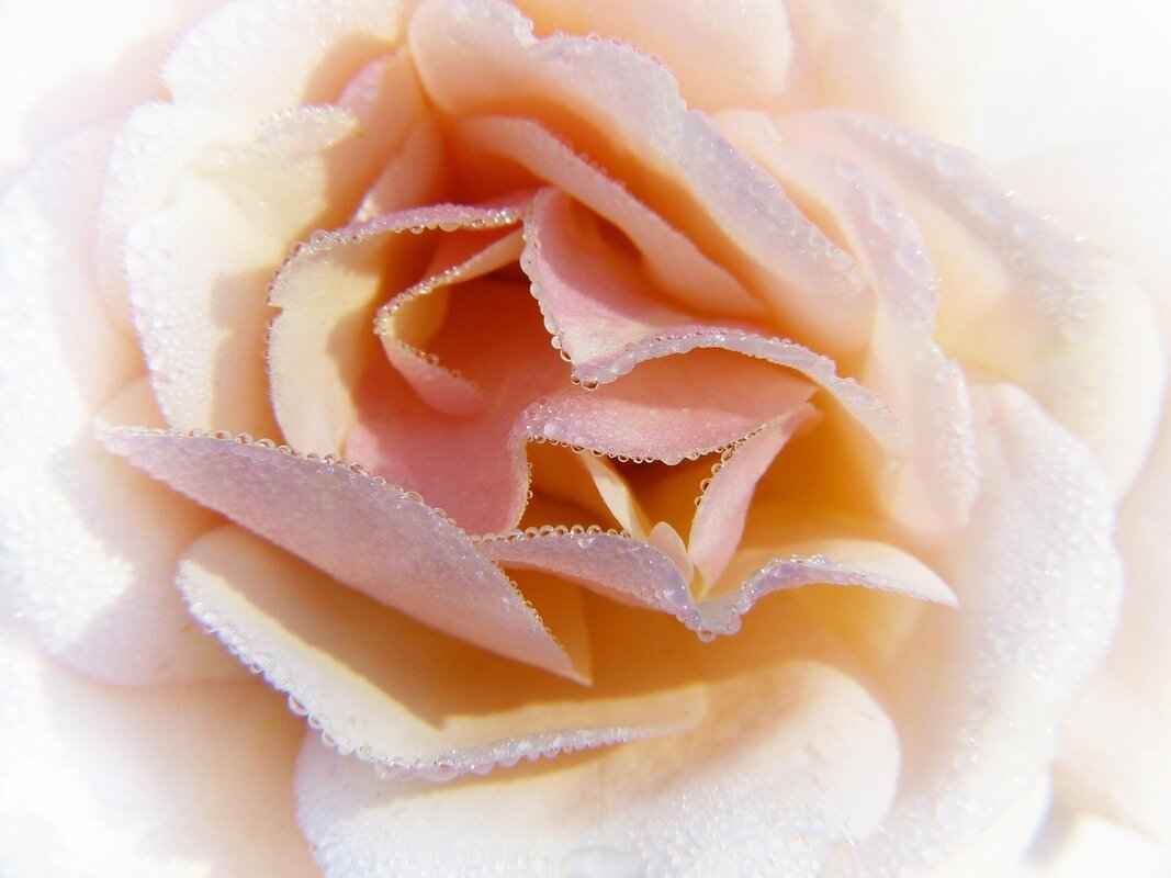 Are There Any Risks Involved with Aromatherapy Vaping?