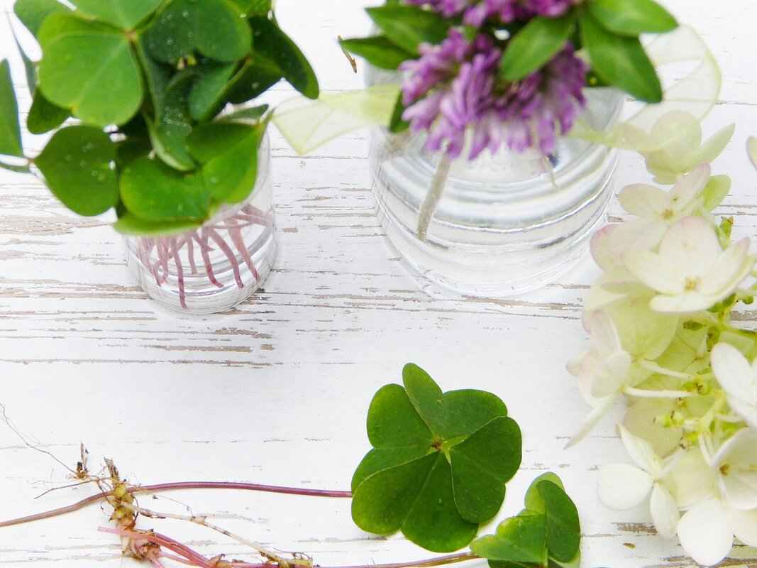 Can Aromatherapy Vaping Help with Stress Relief?