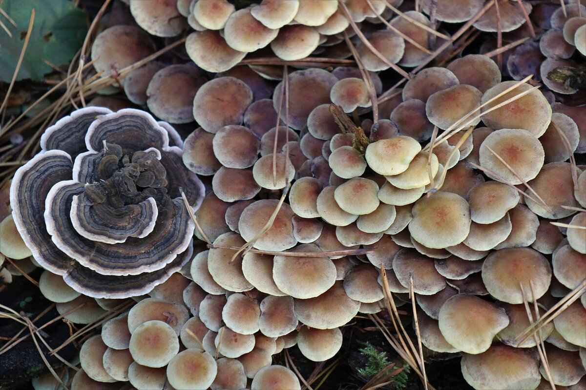 How Can I Collect a Debt Owed to Me? 5 Legal Options for Debt Collection