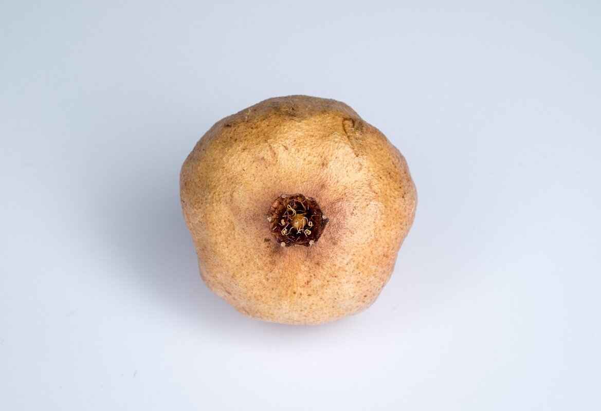 How Does the Process Work in a Contested Divorce? 6 Trial Process in Contested Divorce