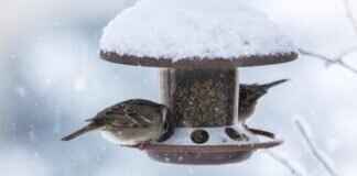 How FintechZoom.io Compares to Other Financial News Platforms How FintechZoom Compares to Other Financial News Platforms