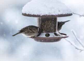 How FintechZoom.io Compares to Other Financial News Platforms How FintechZoom Compares to Other Financial News Platforms