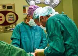 How Important Are Expert Witness Reports in Legal Cases? How Important Are Expert Witness Reports in Legal Cases?