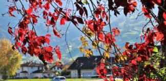 How Is Property Divided After a Divorce? How Is Property Divided After a Divorce?