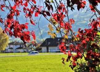 How Is Property Divided After a Divorce? How Is Property Divided After a Divorce?