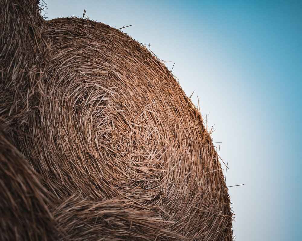 Common Factors Influencing Rent Increases