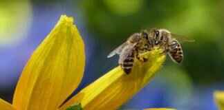 How Long Does GCP API Take to Enable Key Ring? A Step-by-Step Breakdown How Long Does GCP API Take to Enable Key Ring? A Step-by-Step Breakdown