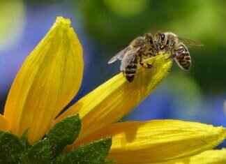 How Long Does GCP API Take to Enable Key Ring? A Step-by-Step Breakdown How Long Does GCP API Take to Enable Key Ring? A Step-by-Step Breakdown