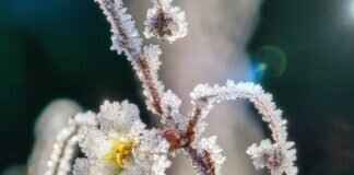 How Long Does It Take for Pipes to Freeze? Prevention Tips How Long Does It Take for Pipes to Freeze? Prevention Tips