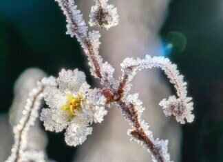 How Long Does It Take for Pipes to Freeze? Prevention Tips How Long Does It Take for Pipes to Freeze? Prevention Tips