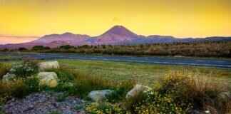 How Long Does It Take to Adjust to New Glasses? What to Expect How Long Does It Take to Adjust to New Glasses? What to Expect