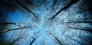 How Long Does It Take to Crown a Tooth? Procedure & Healing Time How Long Does It Take to Crown a Tooth? Procedure & Healing Time