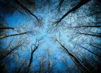 How Long Does It Take to Crown a Tooth? Procedure & Healing Time How Long Does It Take to Crown a Tooth? Procedure & Healing Time