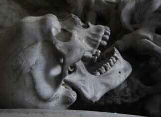 How Long Does It Take to Get Dentures? What You Need to Know How Long Does It Take to Get Dentures? What You Need to Know