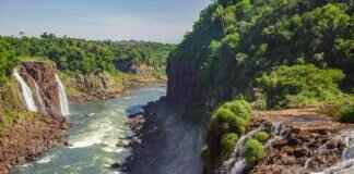 How Long Does It Take to Go Blind From Cataracts? Signs & Stages How Long Does It Take to Go Blind From Cataracts? Signs & Stages